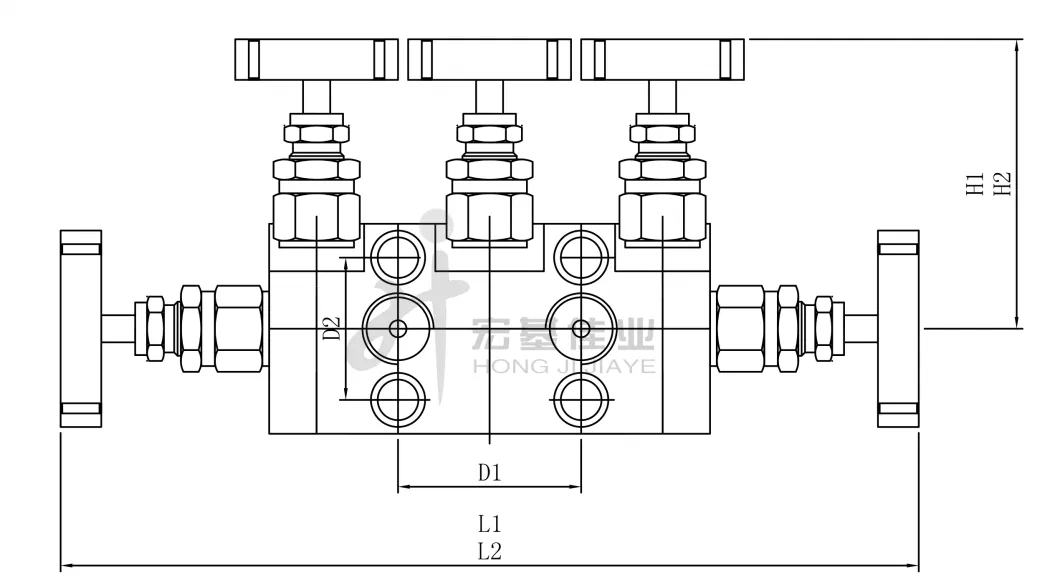 SS316 5 Valve Manifolds for Rosemount Transmitter Stainless Steel 6000psi Manifolds 5 Way