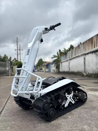 Guangdong Tracked 72V 6.0kw Etv Tank Electric Anglers Hunters Farmers Adult Snowmobile