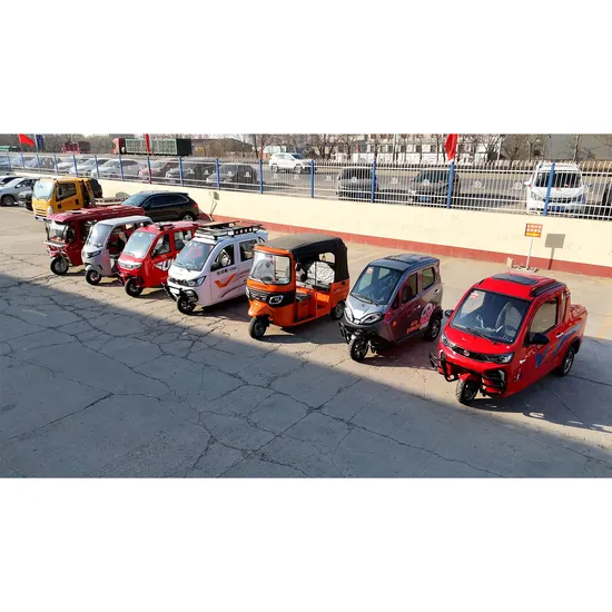 3 Wheel Motorcycles Electric Passenger Tricycle for Adult Electric Scooter with 72V